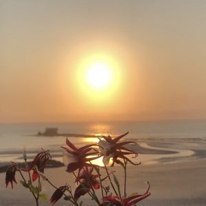 Séance "Coucher de Soleil" – Lumière dorée & romantisme